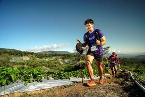 BIB: 1472
                            <button type="button" onclick="openModal(19122833)" class="btn btn-primary btn-sm float-right btn-popup" data-toggle="modal" data-target=".modal-high-quality">
                        <i class="fas fa-shopping-cart"></i> Add to Cart
                    </button>
                                            <button type="button" onclick="isThisMe(19122833, true)" class="btn btn-success btn-sm float-right btn-popup btn-isme hidden" data-toggle="tooltip" data-placement="bottom" title="นี่คือรูปของคุณใช่ไหม คลิกที่นี่เพื่อเอาเข้าอัลบั้ม">
                        <i class="fas fa-plus"></i> Add to album
                    </button>
                    <button type="button" onclick="isThisMe(19122833, false)" class="btn btn-warning btn-sm float-right btn-popup btn-isnotme hidden">
                        <i class="fas fa-ban"></i> Remove from album
                    </button>